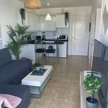 Heerlijk Met Prachtig Uitzicht Op Balcon Amadores! Apartment